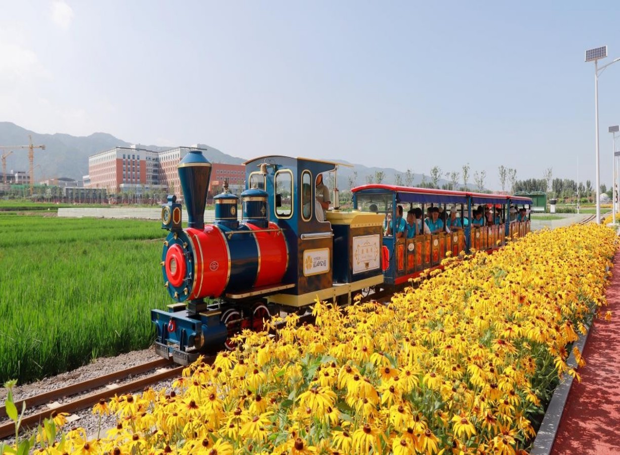 稻田小火車(chē)